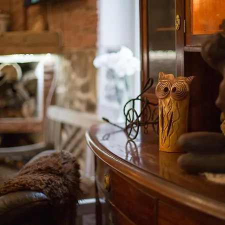 Nezabudka Tatranska Strba